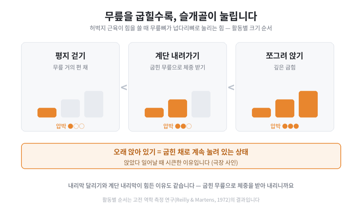 평지 걷기, 계단 내려가기, 쪼그려 앉기 순으로 무릎 굽힘 각도와 슬개골 압박이 커지는 것을 보여주는 설명 카드. 오래 앉아 있기는 굽힌 상태가 유지되는 경우로 따로 표시돼 있다.